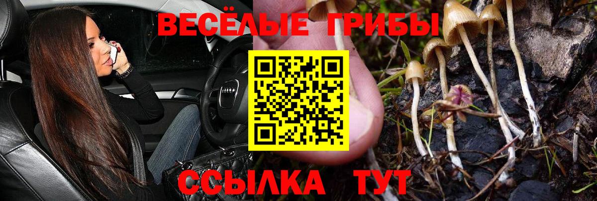 Галлюциногенные грибы ЛСД Ипатово