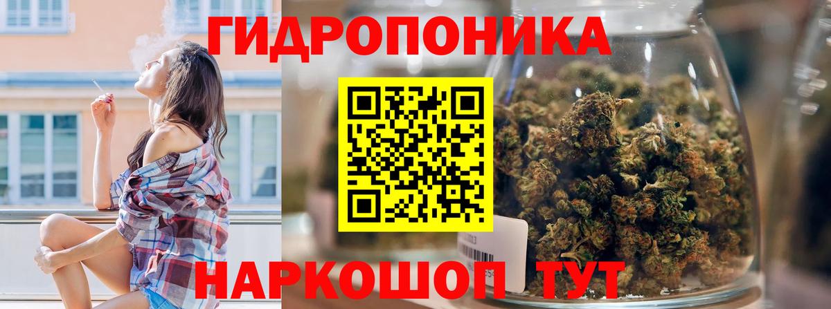 Каннабис семена  Шишки марихуана семена  Ипатово  Вход с VPN  Канабис гибрид 